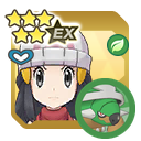 Dawn & Torterra